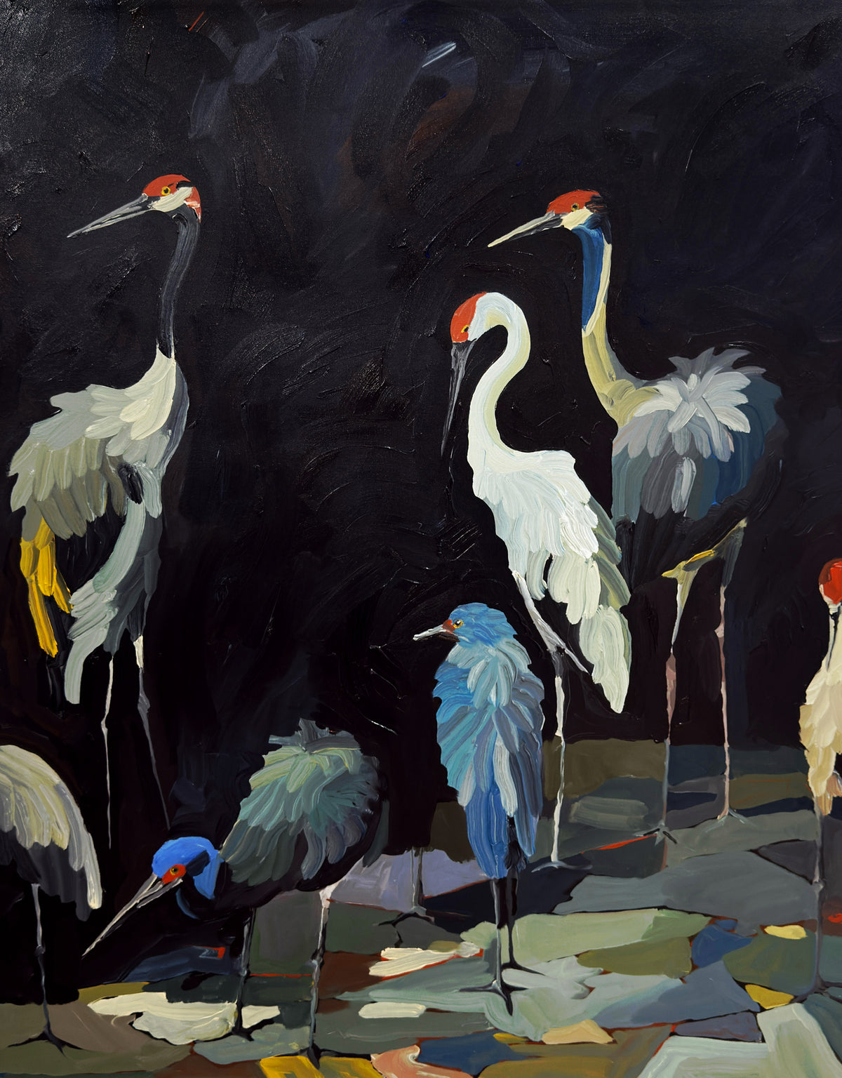 Flightless moment Canvas Print